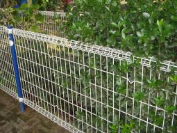 雙圈護欄網(wǎng)