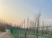 框架護欄網(wǎng)為什么經(jīng)常做成1.8米高？